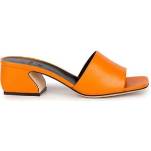 Sergio Rossi, Verhoog je stijl met hoge hak sandalen Oranje, Dames, Maat:38 EU