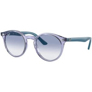 Ray-Ban, Zonnebrillen Paars, unisex, Maat:44 MM