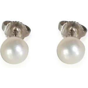 Tiffany & Co. Pre-owned, Pre-owned, Dames, Grijs, ONE Size, Pre-owned White Gold earrings