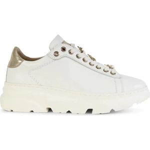 Roberto d'Angelo, Witte Sneakers Wit, Dames, Maat:40 EU