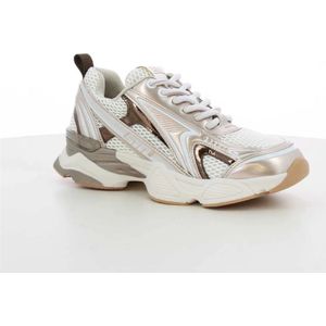 Steve Madden, Schoenen, Dames, Grijs, 42 EU, Goud Speedster Damesschoenen