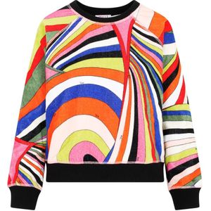 Emilio Pucci, Sweatshirts & Hoodies, Dames, Veelkleurig, S, Katoen, Vintage Multicolor Katoenen Sweatshirt
