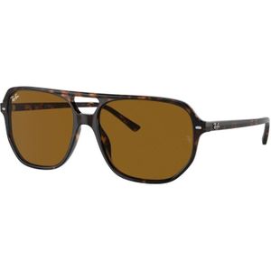 Ray-Ban, Accessoires, Dames, Bruin, 60 MM, Rb 2205 Bill Zonnebril