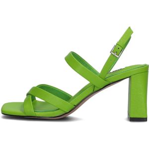 Bibi Lou, Schoenen, Dames, Groen, 40 EU, Leer, Groene Sandaal met Vierkante Neus