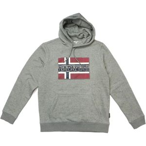 Napapijri, Sweatshirts & Hoodies, Heren, Grijs, S, Capuchon