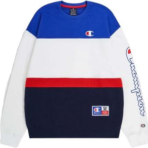 Champion, Sweatshirts & Hoodies, Heren, Veelkleurig, M, Legacy Retro Sport Hoodie