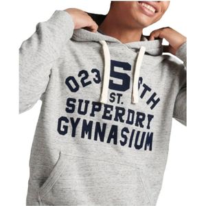 Superdry, Sweatshirts & Hoodies, Heren, Grijs, S, Katoen, Hoodies