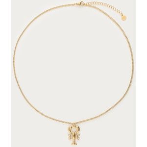 Mer minimalistische Kette mit Hummer