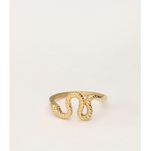 Ring mit Schlange