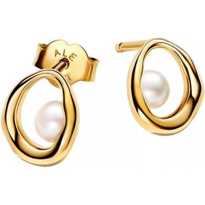 Pandora Oorbellen - 14k Gold-plated stud earrings with treated freshwa in white