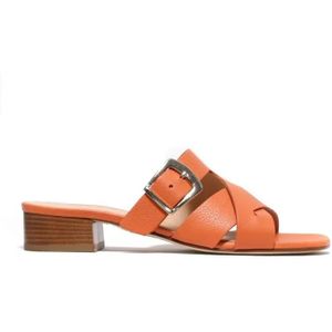 La Sellerie Sandalen - Orange Leather Slipper With Cross And Golden Buckl in goud