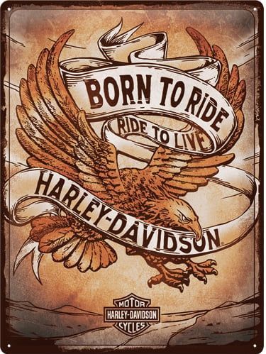 Nostalgic-Art Blechschild 30 x 40 cm Harley Davidson - Born to Ride Eagle - Motorradzubehör - Geschenkideen - Motorrad Blechschilder & Retro