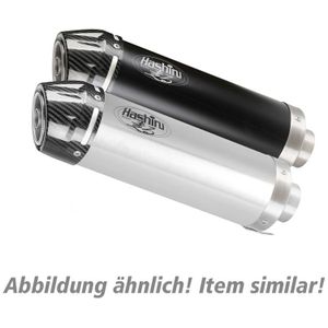 Hashiru Auspuff ST06 1in1 silber/carbon für Yamaha YZF R125 2008-201 - Motorradteile - Motorrad Auspuff - Motorrad Auspuffanlagen & Endschalldämpfer