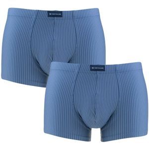 TOM TAILOR - 2-pack microfiber boxershorts stripes blauw - Heren
