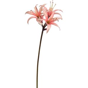 Kunstbloem Amaryllis - Roze - 80 cm