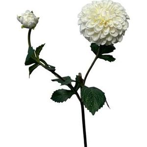 Kunstbloem Dahlia - Wit - 74 cm