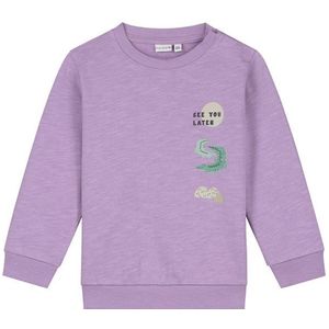 Prénatal peuter sweater