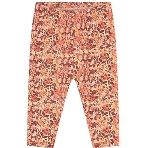 Prénatal baby legging