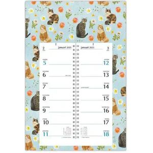 WEEK OMLEGKALENDER FRANCIENS KATTEN