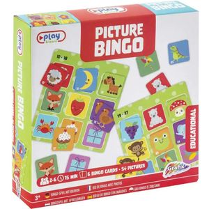 Bingospel met afbeeldingen | Grafix | bordspel | Bordspel voor kinderen vanaf 3 jaar | 2-6 spelers