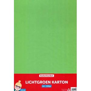 Karton A4 Lichtgroen