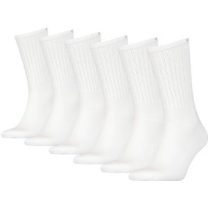 Calvin Klein sokken basic 6-pack wit heren
