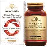 Brain Works (Brein)