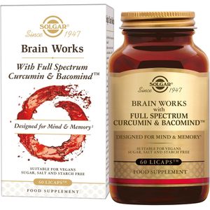 Brain Works (Brein)