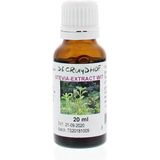 Stevia extract wit
