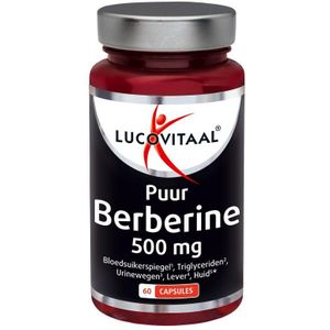 Berberine 500mg puur