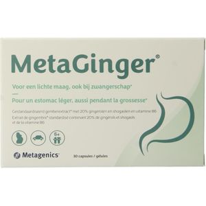 Metaginger