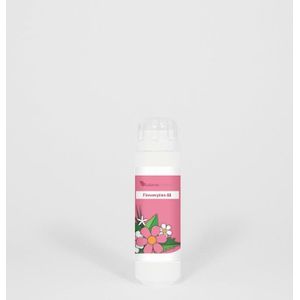 HFP044 Creatieve energie Flowerplex