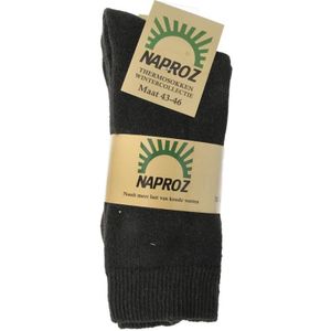 Thermo sokken zwart maat 43-46
