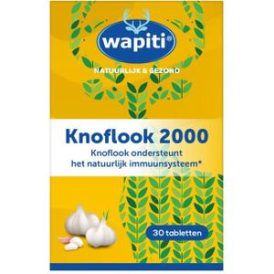 Knoflook 2000