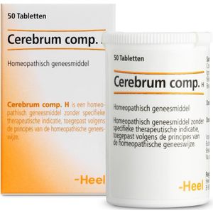 Cerebrum compositum H