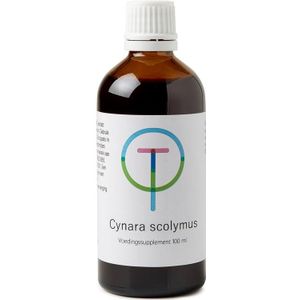 Cynara scolymus artisjok