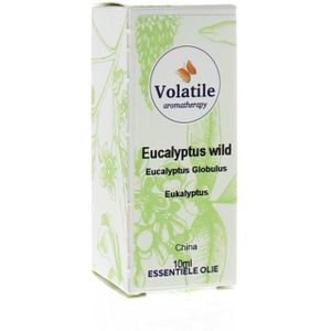 Eucalyptus wild