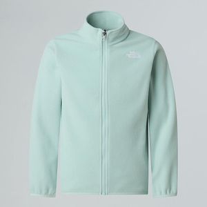 The North Face Emilio-fleece Met Volledige Rits Voor Tieners Muted Pine male