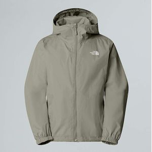 The North Face New Peak-inpakbare Jas Voor Heren Clay Grey male
