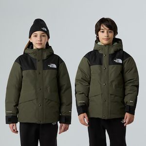 The North Face Mountain-donsjas Voor Tieners New Taupe Green male
