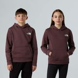The North Face Simple Dome-hoodie Voor Tieners Tawny Quartz male