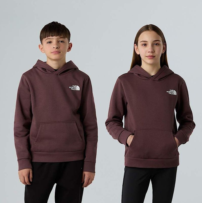 The North Face Simple Dome-hoodie Voor Tieners Tawny Quartz male