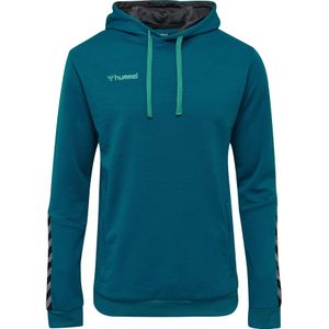 Hoodie Hummel hmlAUTHENTIC Poly