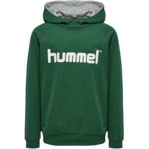 Junior Hoodie Hummel Cotton Logo