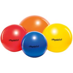 Trainingsbal Ledragomma Original Physioball