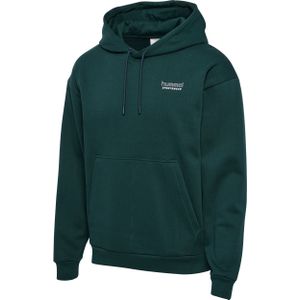 Hoodie Hummel Loose