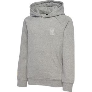 Sweater met capuchon voor kinderen Hummel GG-12