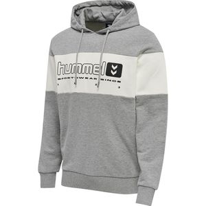 Hooded sweatshirt Hummel hmlLGC musa