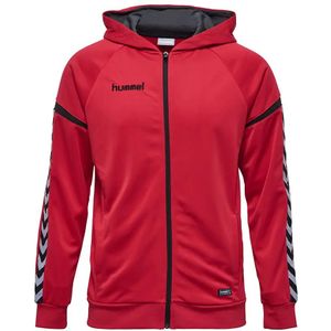 Hummel - AUTH. CHARGE ZIP HOODIE - Hooded Sweatshirt