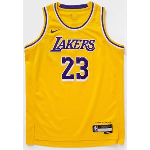 NBA SWINGMAN JERSEY LOS ANGELES LAKERS ICON LEBRON JAMES #23